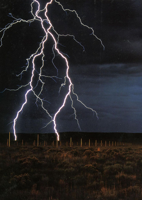 The+Lightning+Field+1977.jpg